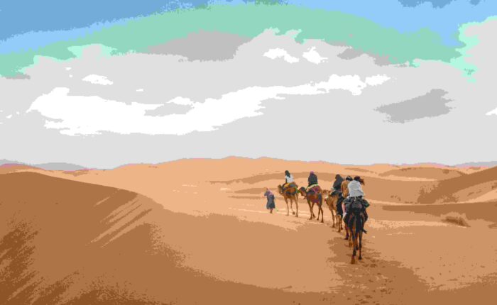 Camel Ride Experience