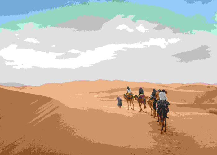 Camel Ride Experience